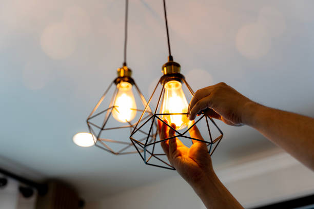 Best 24-Hour Electrician  in Ogden, IA