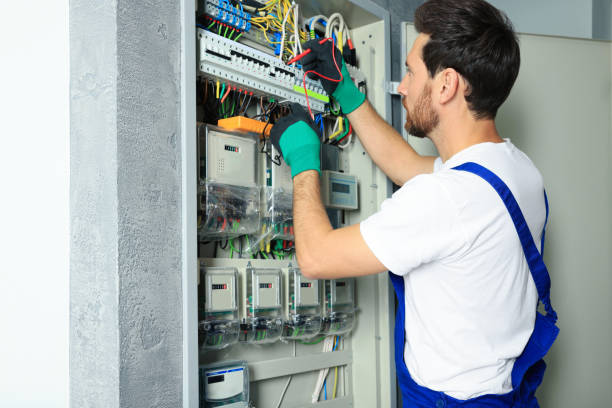 Best Electric Panel Repair  in Ogden, IA